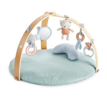 Cozy Spo Reversible Activity Gym
