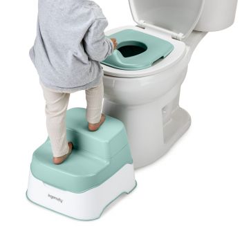 Bright Starts Ing 2 Step Stool Potty