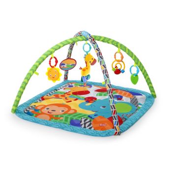 Zippy Zoo Activity Gym.