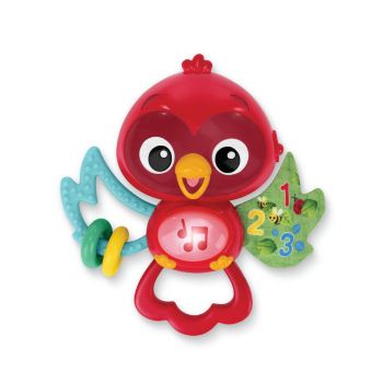 Baby Einstein Roxy's Bright Flight Musical Toy