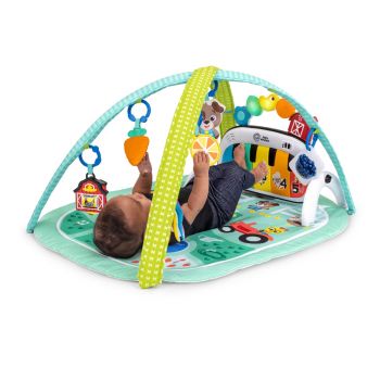 4 IN 1 Kickin Tunes Musical Meadow