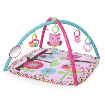 Charming Chirps Activity Gym