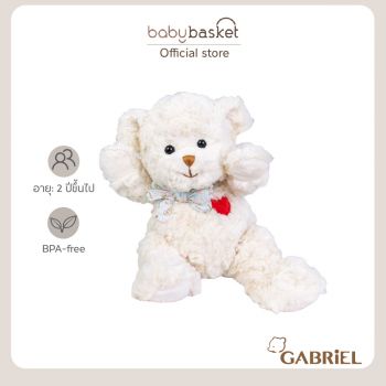 Gabriel Cherubim