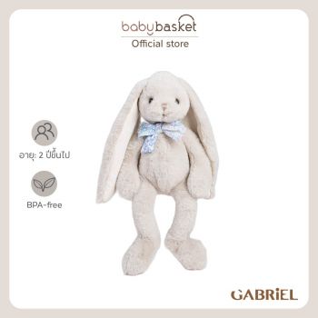 Gabriel Little Nicolas