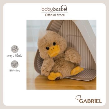 Gabriel Baby Fred