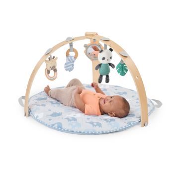 Cozy Spot Gym Elephant March