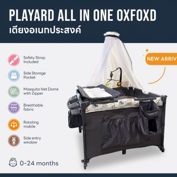 Puna Playard All In One Oxfoxd