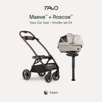 Tavo Pet Protection System Maeve 5X W/Base Fawn (CHO)