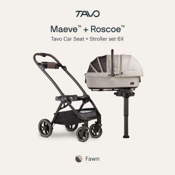Tavo Pet Protection System Maeve 6X W/Base Fawn (CHO)