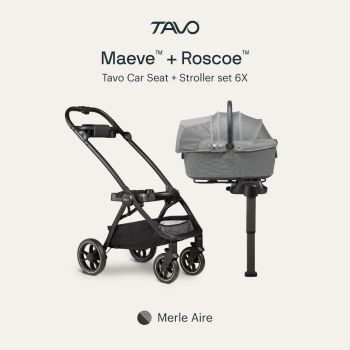 Tavo Pet Protection System Maeve 6X W/Base Merle Aire (BLK)